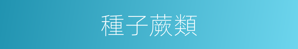 種子蕨類的同義詞
