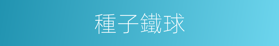 種子鐵球的同義詞
