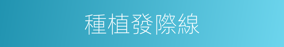 種植發際線的同義詞