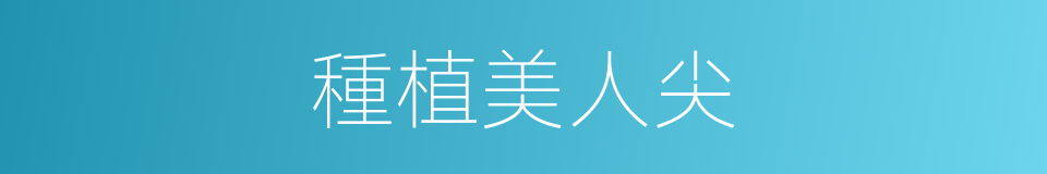種植美人尖的同義詞
