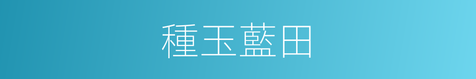 種玉藍田的意思