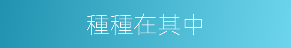 種種在其中的同義詞