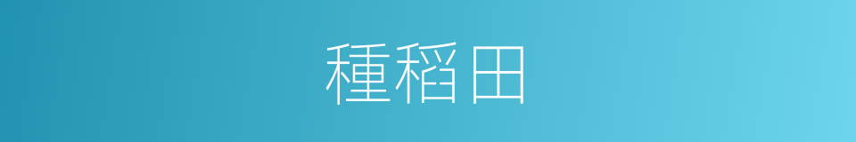 種稻田的同義詞