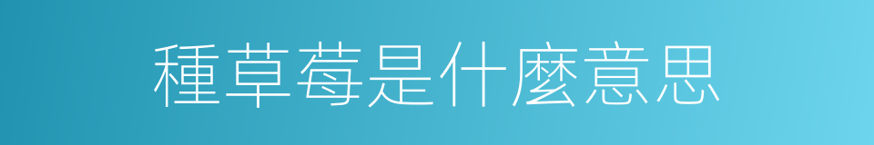 種草莓是什麼意思的同義詞