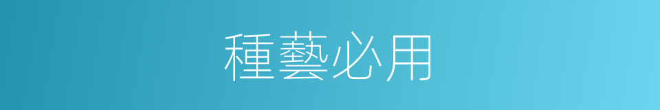 種藝必用的同義詞