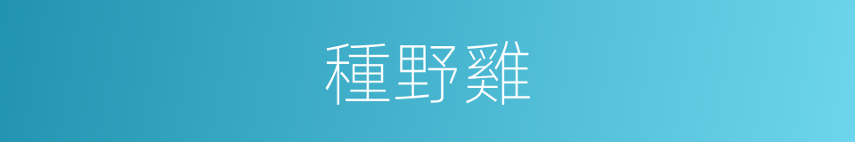 種野雞的同義詞