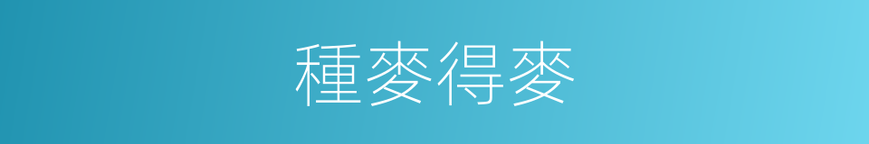 種麥得麥的意思