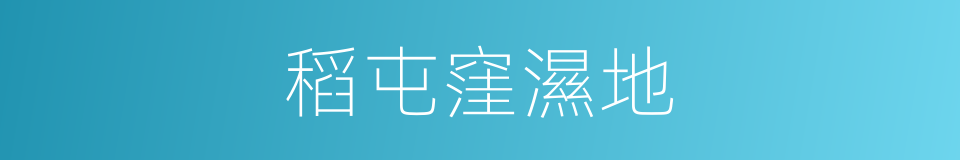 稻屯窪濕地的同義詞