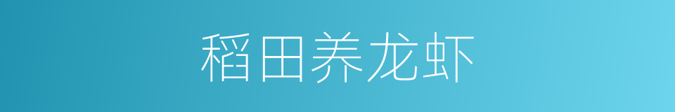 稻田养龙虾的同义词