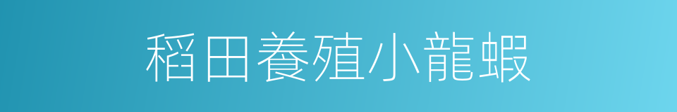 稻田養殖小龍蝦的同義詞