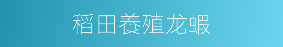 稻田養殖龙蝦的同義詞