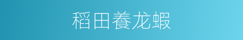 稻田養龙蝦的同義詞