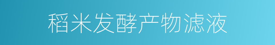 稻米发酵产物滤液的同义词