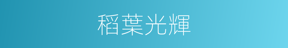 稻葉光輝的同義詞