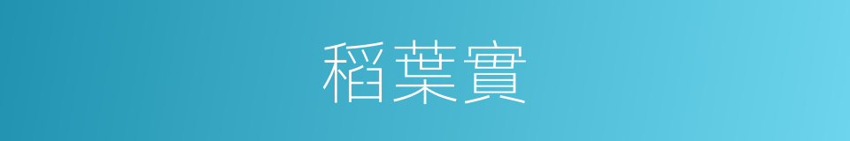 稻葉實的同義詞