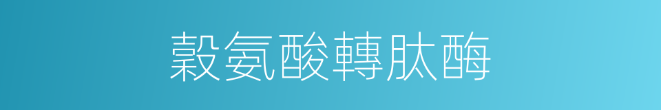 穀氨酸轉肽酶的同義詞