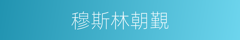 穆斯林朝覲的同義詞