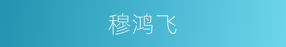 穆鸿飞的同义词