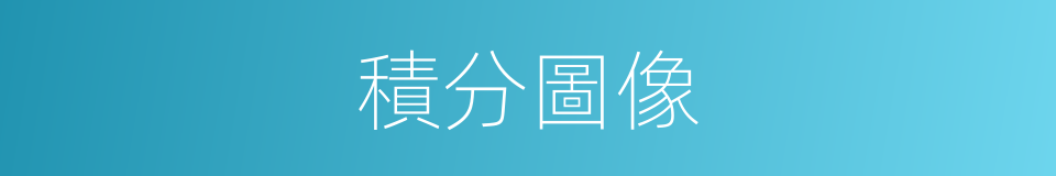 積分圖像的同義詞