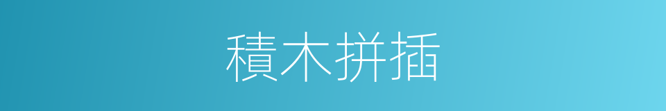 積木拼插的同義詞