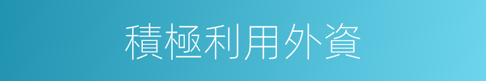 積極利用外資的同義詞
