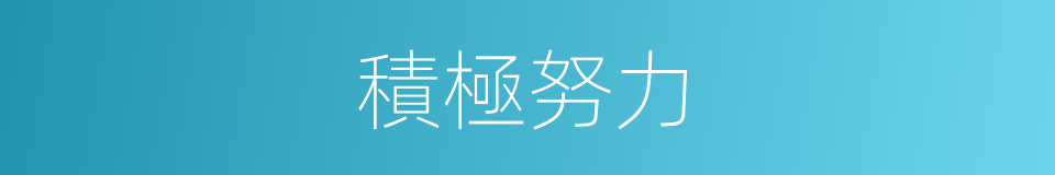 積極努力的同義詞