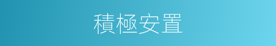 積極安置的同義詞