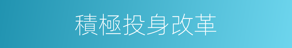 積極投身改革的同義詞