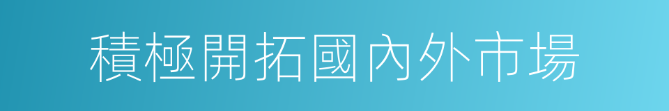 積極開拓國內外市場的同義詞