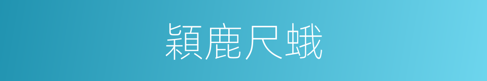 穎鹿尺蛾的同義詞