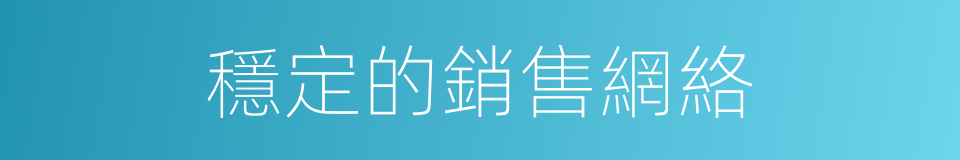 穩定的銷售網絡的同義詞