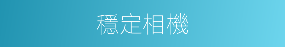 穩定相機的同義詞