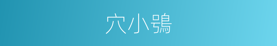 穴小鴞的同義詞