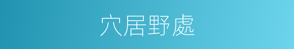 穴居野處的意思