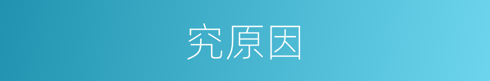 究原因的同义词