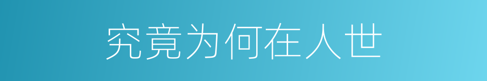究竟为何在人世的同义词