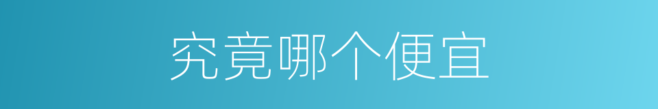 究竟哪个便宜的意思