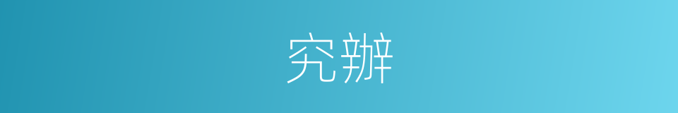 究辦的意思