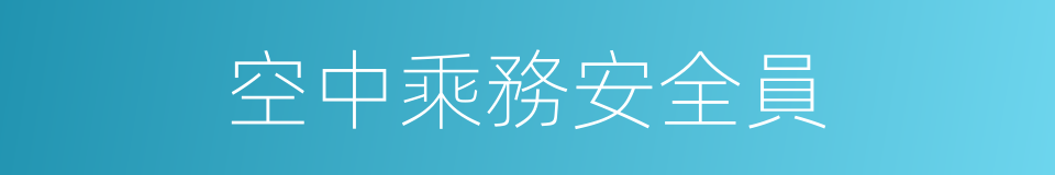 空中乘務安全員的同義詞