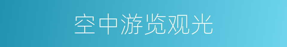 空中游览观光的同义词