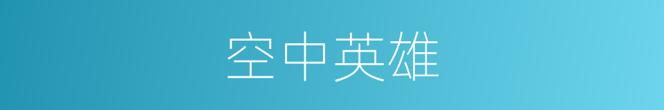 空中英雄的同义词