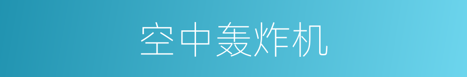 空中轰炸机的同义词