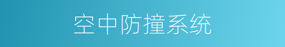 空中防撞系统的同义词