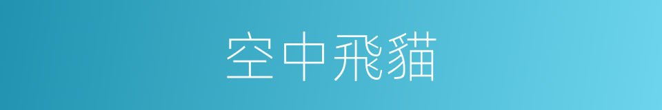 空中飛貓的同義詞
