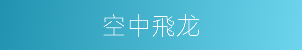 空中飛龙的同義詞