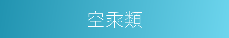 空乘類的同義詞