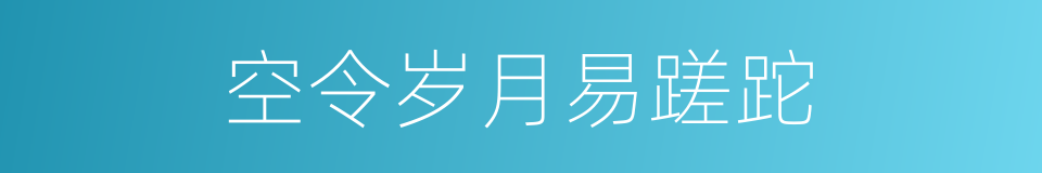 空令岁月易蹉跎的同义词