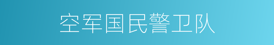 空军国民警卫队的同义词