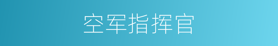 空军指挥官的同义词