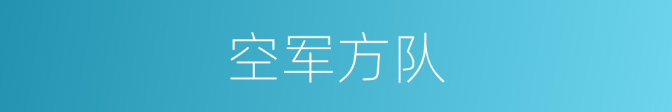 空军方队的同义词